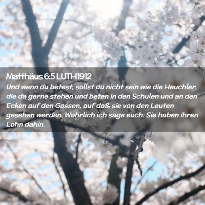 Picture 02 - Matthäus 6:5 LUTH1912 - Und wenn du betest, sollst du nicht sein wie die - Bible Verse Picture