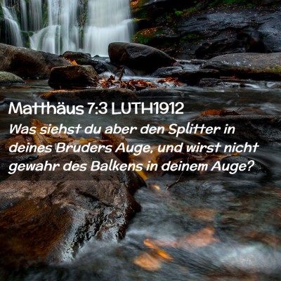 Picture 02 - Matthäus 7:3 LUTH1912 - Was siehst du aber den Splitter in deines Bruders - Bible Verse Picture