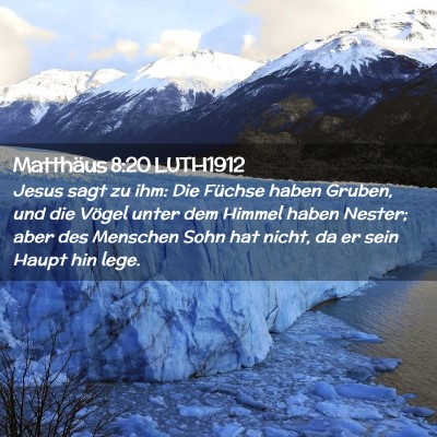Picture 02 - Matthäus 8:20 LUTH1912 - Jesus sagt zu ihm: Die Füchse haben Gruben, und - Bible Verse Picture