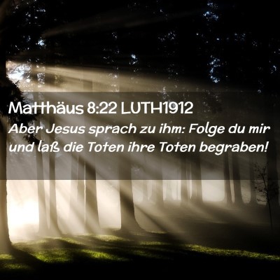 Picture 02 - Matthäus 8:22 LUTH1912 - Aber Jesus sprach zu ihm: Folge du mir und laß - Bible Verse Picture