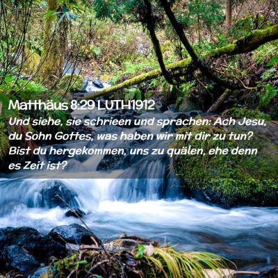 Picture 02 - Matthäus 8:29 LUTH1912 - Und siehe, sie schrieen und sprachen: Ach Jesu, - Bible Verse Picture