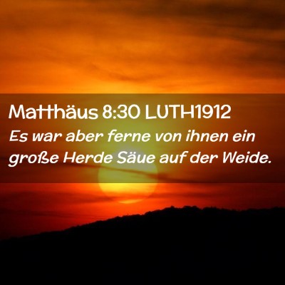 Picture 02 - Matthäus 8:30 LUTH1912 - Es war aber ferne von ihnen ein große Herde - Bible Verse Picture