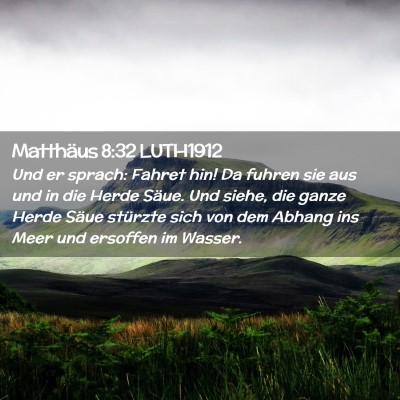 Picture 02 - Matthäus 8:32 LUTH1912 - Und er sprach: Fahret hin! Da fuhren sie aus und - Bible Verse Picture