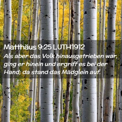 Picture 02 - Matthäus 9:25 LUTH1912 - Als aber das Volk hinausgetrieben war, ging er - Bible Verse Picture