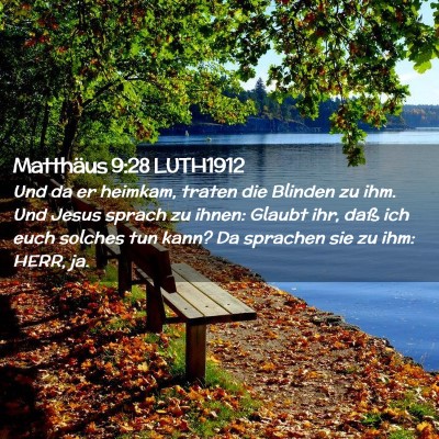 Picture 02 - Matthäus 9:28 LUTH1912 - Und da er heimkam, traten die Blinden zu ihm. Und - Bible Verse Picture