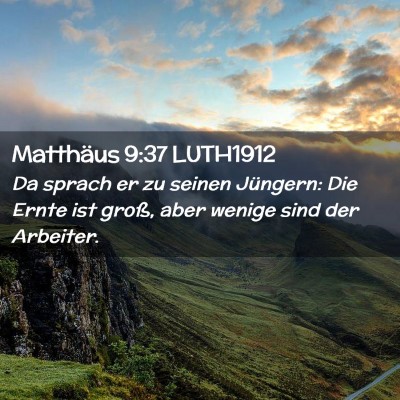 Picture 02 - Matthäus 9:37 LUTH1912 - Da sprach er zu seinen Jüngern: Die Ernte ist - Bible Verse Picture