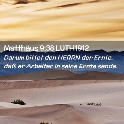 Picture 02 - Matthäus 9:38 LUTH1912 - Darum bittet den HERRN der Ernte, daß er - Bible Verse Picture