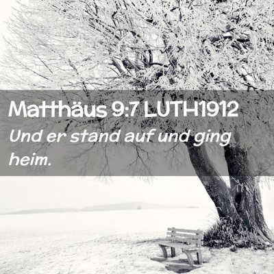 Picture 02 - Matthäus 9:7 LUTH1912 - Und er stand auf und ging - Bible Verse Picture