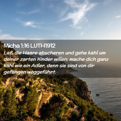 Picture 02 - Micha 1:16 LUTH1912 - Laß die Haare abscheren und gehe kahl um deiner - Bible Verse Picture