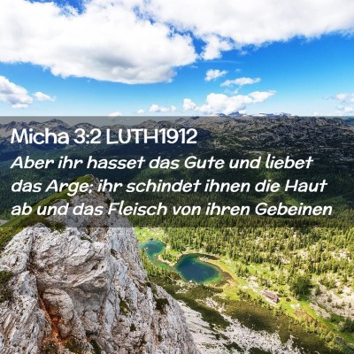Picture 02 - Micha 3:2 LUTH1912 - Aber ihr hasset das Gute und liebet das Arge; ihr - Bible Verse Picture