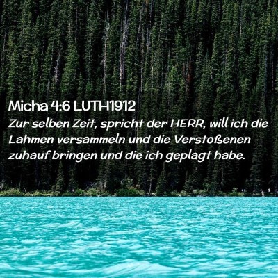 Picture 02 - Micha 4:6 LUTH1912 - Zur selben Zeit, spricht der HERR, will ich die - Bible Verse Picture