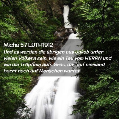 Picture 02 - Micha 5:7 LUTH1912 - Und es werden die übrigen aus Jakob unter vielen - Bible Verse Picture