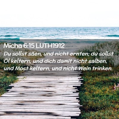Picture 02 - Micha 6:15 LUTH1912 - Du sollst säen, und nicht ernten; du sollst Öl - Bible Verse Picture