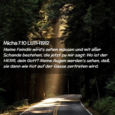 Picture 02 - Micha 7:10 LUTH1912 - Meine Feindin wird's sehen müssen und mit aller - Bible Verse Picture