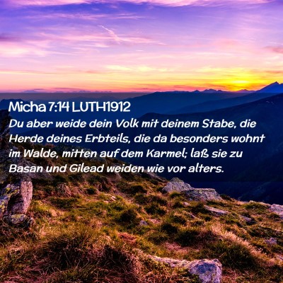Picture 02 - Micha 7:14 LUTH1912 - Du aber weide dein Volk mit deinem Stabe, die - Bible Verse Picture
