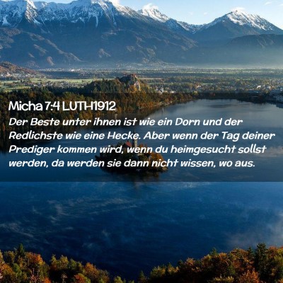 Picture 02 - Micha 7:4 LUTH1912 - Der Beste unter ihnen ist wie ein Dorn und der - Bible Verse Picture