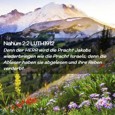 Picture 02 - Nahum 2:2 LUTH1912 - Denn der HERR wird die Pracht Jakobs - Bible Verse Picture
