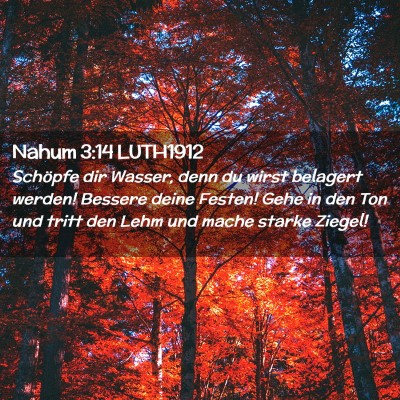 Picture 02 - Nahum 3:14 LUTH1912 - Schöpfe dir Wasser, denn du wirst belagert - Bible Verse Picture