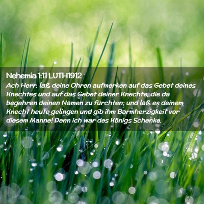 Picture 02 - Nehemia 1:11 LUTH1912 - Ach Herr, laß deine Ohren aufmerken auf das - Bible Verse Picture