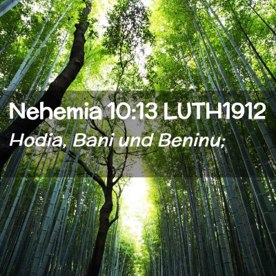 Picture 02 - Nehemia 10:13 LUTH1912 - Hodia, Bani und - Bible Verse Picture
