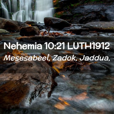 Picture 02 - Nehemia 10:21 LUTH1912 - Mesesabeel, Zadok, - Bible Verse Picture