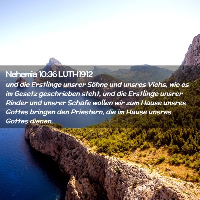 Picture 02 - Nehemia 10:36 LUTH1912 - und die Erstlinge unsrer Söhne und unsres Viehs, - Bible Verse Picture