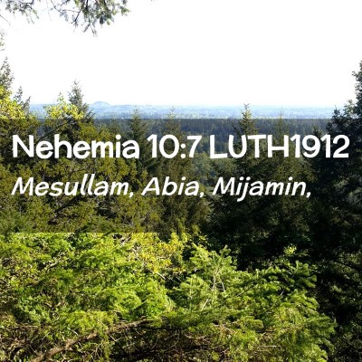 Picture 02 - Nehemia 10:7 LUTH1912 - Mesullam, Abia, - Bible Verse Picture