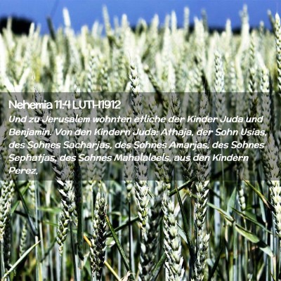 Picture 02 - Nehemia 11:4 LUTH1912 - Und zu Jerusalem wohnten etliche der Kinder Juda - Bible Verse Picture
