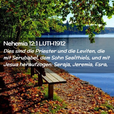 Picture 02 - Nehemia 12:1 LUTH1912 - Dies sind die Priester und die Leviten, die mit - Bible Verse Picture