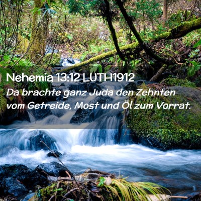 Picture 02 - Nehemia 13:12 LUTH1912 - Da brachte ganz Juda den Zehnten vom Getreide, - Bible Verse Picture