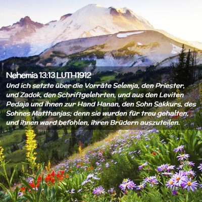 Picture 02 - Nehemia 13:13 LUTH1912 - Und ich setzte über die Vorräte Selemja, den - Bible Verse Picture