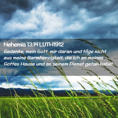 Picture 02 - Nehemia 13:14 LUTH1912 - Gedenke, mein Gott, mir daran und tilge nicht aus - Bible Verse Picture