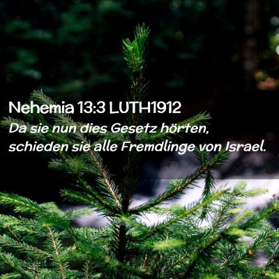 Picture 02 - Nehemia 13:3 LUTH1912 - Da sie nun dies Gesetz hörten, schieden sie alle - Bible Verse Picture