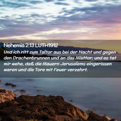 Picture 02 - Nehemia 2:13 LUTH1912 - Und ich ritt zum Taltor aus bei der Nacht und - Bible Verse Picture