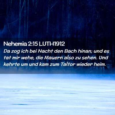 Picture 02 - Nehemia 2:15 LUTH1912 - Da zog ich bei Nacht den Bach hinan; und es tat - Bible Verse Picture
