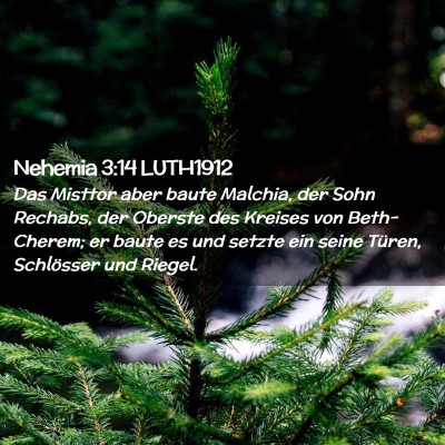 Picture 02 - Nehemia 3:14 LUTH1912 - Das Misttor aber baute Malchia, der Sohn Rechabs, - Bible Verse Picture