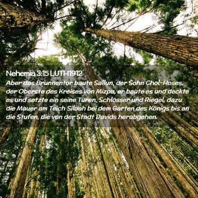 Picture 02 - Nehemia 3:15 LUTH1912 - Aber das Brunnentor baute Sallun, der Sohn - Bible Verse Picture