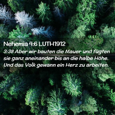 Picture 02 - Nehemia 4:6 LUTH1912 - 3:38 Aber wir bauten die Mauer und fügten sie - Bible Verse Picture