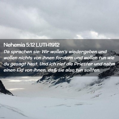 Picture 02 - Nehemia 5:12 LUTH1912 - Da sprachen sie: Wir wollen's wiedergeben und - Bible Verse Picture
