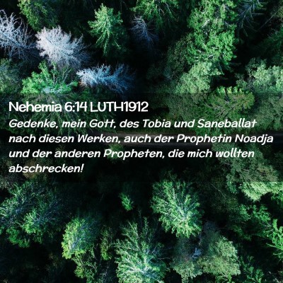 Picture 02 - Nehemia 6:14 LUTH1912 - Gedenke, mein Gott, des Tobia und Saneballat nach - Bible Verse Picture