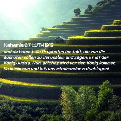 Picture 02 - Nehemia 6:7 LUTH1912 - und du habest die Propheten bestellt, die von dir - Bible Verse Picture