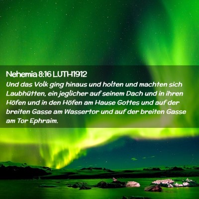 Picture 02 - Nehemia 8:16 LUTH1912 - Und das Volk ging hinaus und holten und machten - Bible Verse Picture