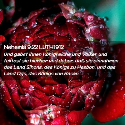 Picture 02 - Nehemia 9:22 LUTH1912 - Und gabst ihnen Königreiche und Völker und - Bible Verse Picture