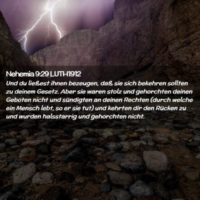 Picture 02 - Nehemia 9:29 LUTH1912 - Und du ließest ihnen bezeugen, daß sie sich - Bible Verse Picture