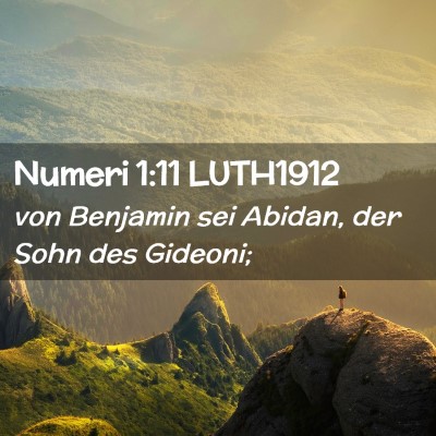 Picture 02 - Numeri 1:11 LUTH1912 - von Benjamin sei Abidan, der Sohn des - Bible Verse Picture