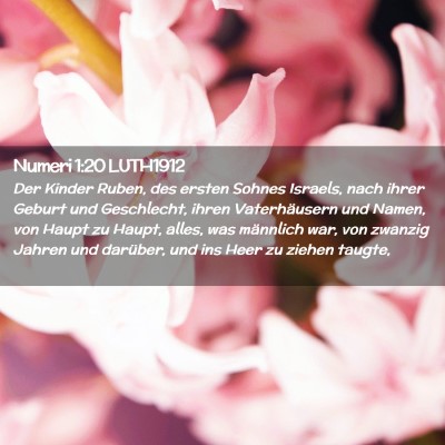 Picture 02 - Numeri 1:20 LUTH1912 - Der Kinder Ruben, des ersten Sohnes Israels, nach - Bible Verse Picture