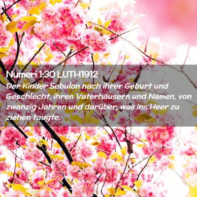 Picture 02 - Numeri 1:30 LUTH1912 - Der Kinder Sebulon nach ihrer Geburt und - Bible Verse Picture