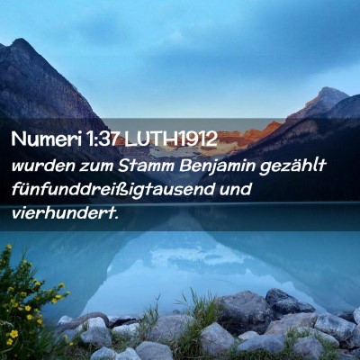 Picture 02 - Numeri 1:37 LUTH1912 - wurden zum Stamm Benjamin gezählt - Bible Verse Picture