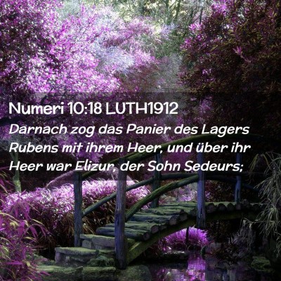 Picture 02 - Numeri 10:18 LUTH1912 - Darnach zog das Panier des Lagers Rubens mit - Bible Verse Picture