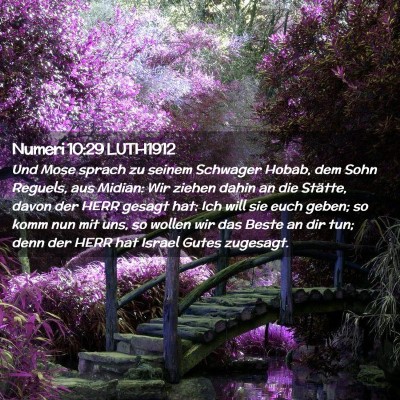 Picture 02 - Numeri 10:29 LUTH1912 - Und Mose sprach zu seinem Schwager Hobab, dem - Bible Verse Picture